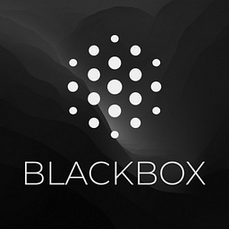 BLACKBOX AI