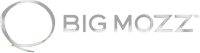 BIG MOZZ brand logo with a circular emblem to the left of the text.