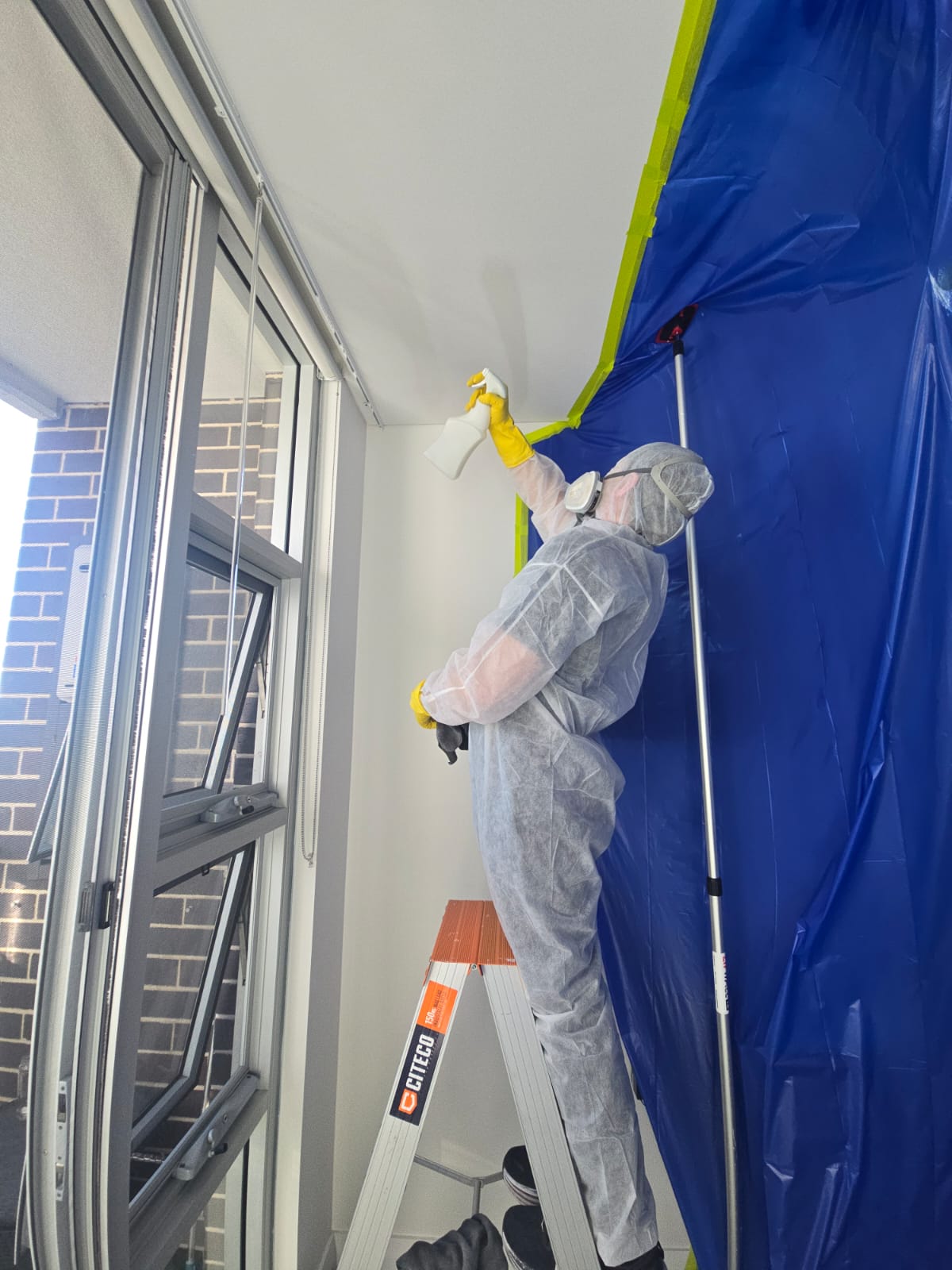 Ceiling mildew removal Sydney - Eco-friendly anti-fungal by Spotless Interior Cleaning. Blacktown and Parramatta region