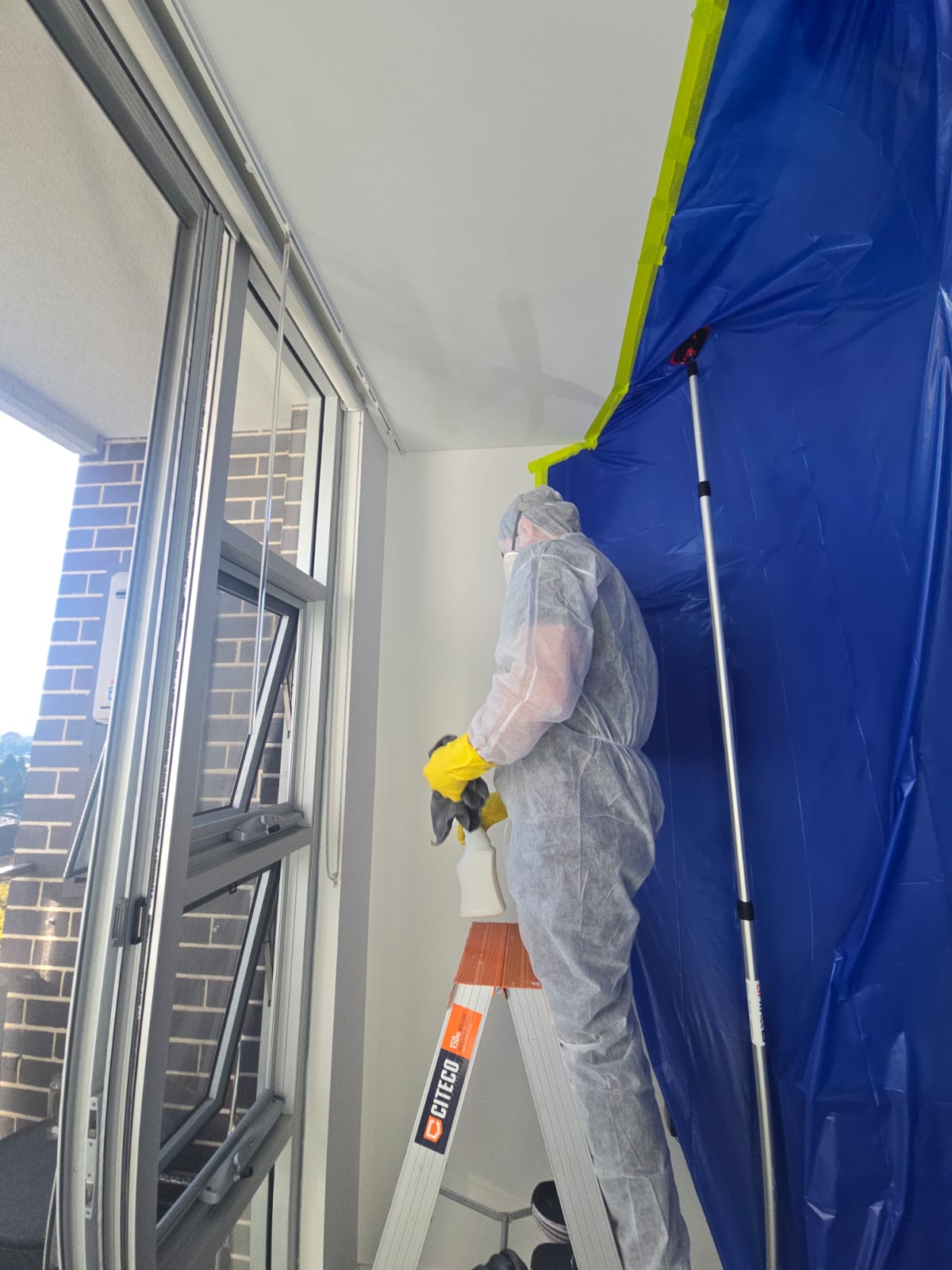 Ceiling mould treatment Sydney - Spotless Interior Cleaning removes black mould. Cover Parramatta