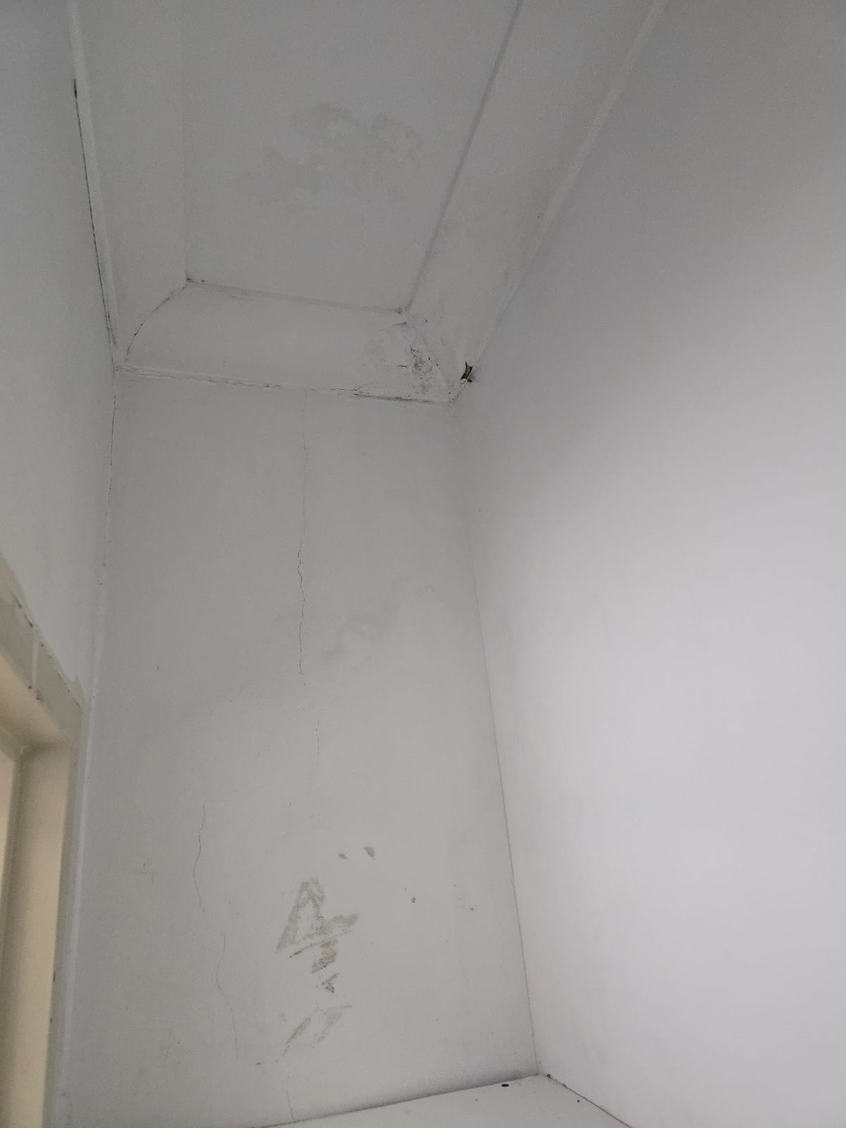 Ceiling mould cleanup for allergies — Spotless Interior Cleaning, Sydney. Baulkham Hill and Castle Hill