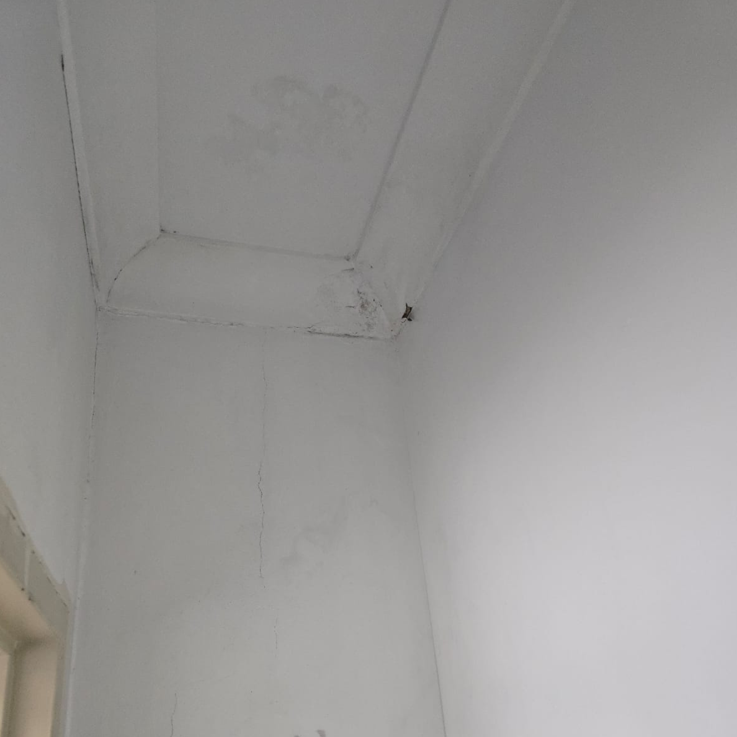 Professional mould treatment Sydney - Spotless Interior Cleaning removes black mould safely. Blacktown and Parramatta region