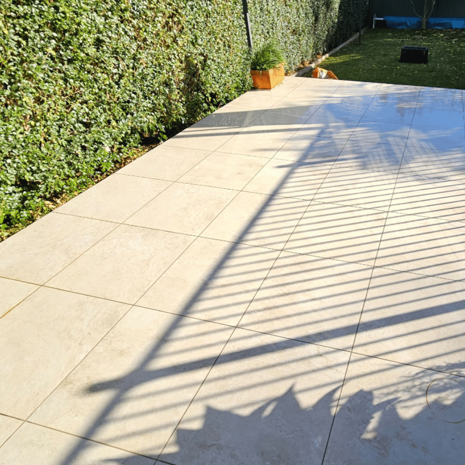 Garden and backyard clean Sydney — Spotless Interior Cleaning clears leaves and debris. Westmead based