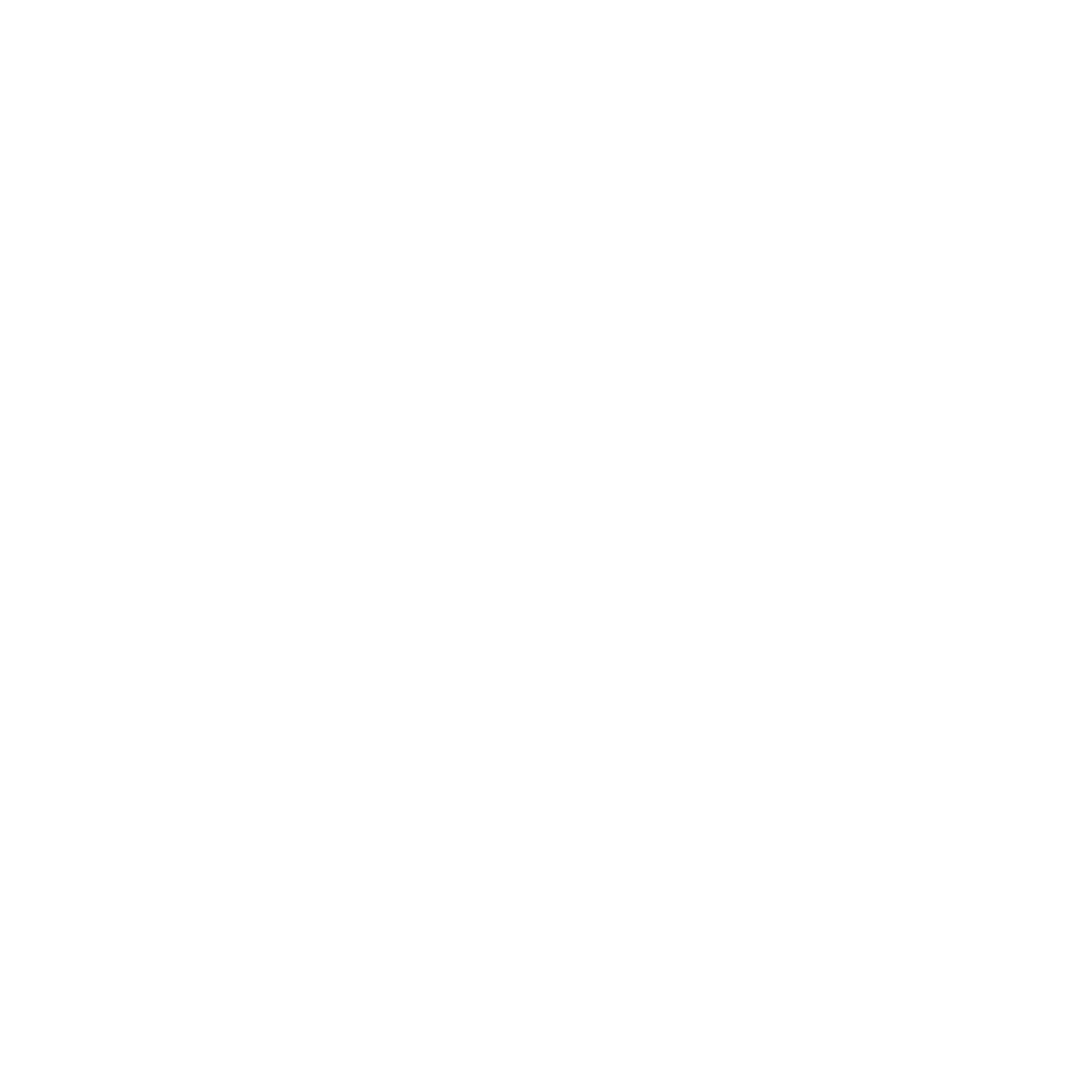 Patio and paver cleaning Sydney - Spotless Interior Cleaning lifts mould & moss. Blacktown and Parramatta region