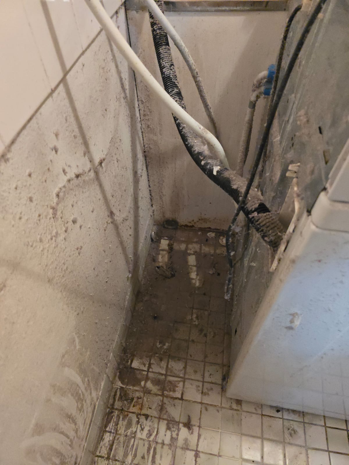 Strata professional mould removal Sydney - Spotless Interior Cleaning common areas treated. Westmead based