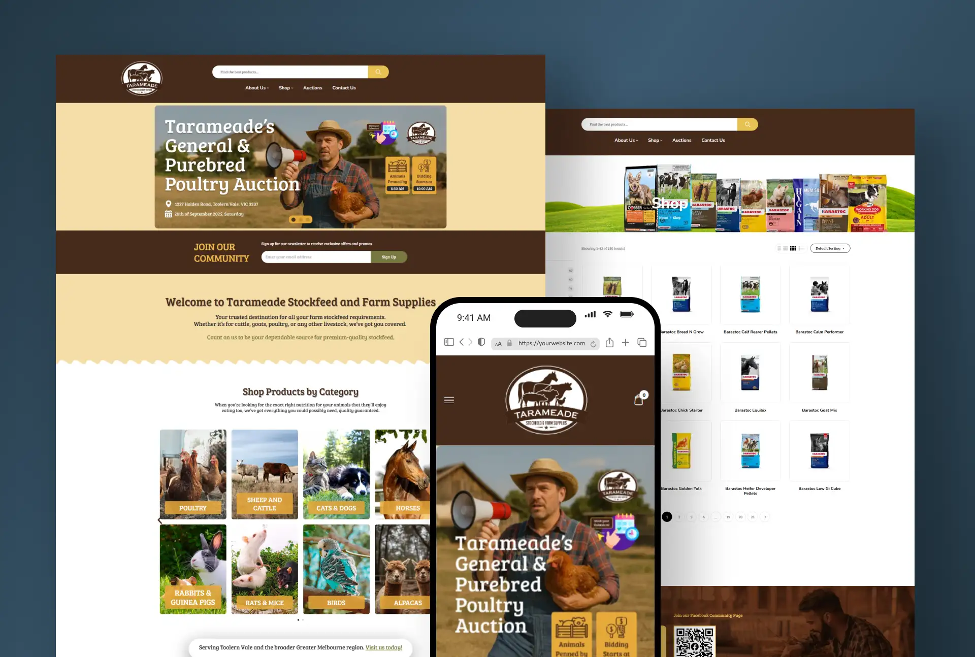 iQ Auto Glass Website Thumbnail