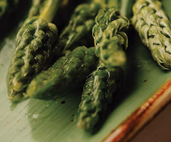 Nahaufnahme von frischem grünem Spargel auf einem grünen Teller.