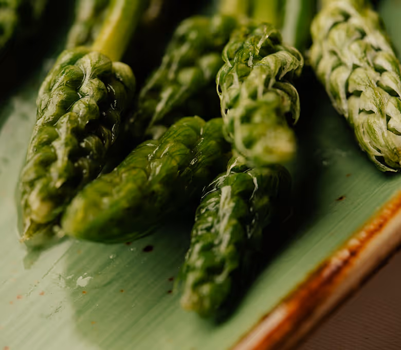 Torsten Knapperstbusch