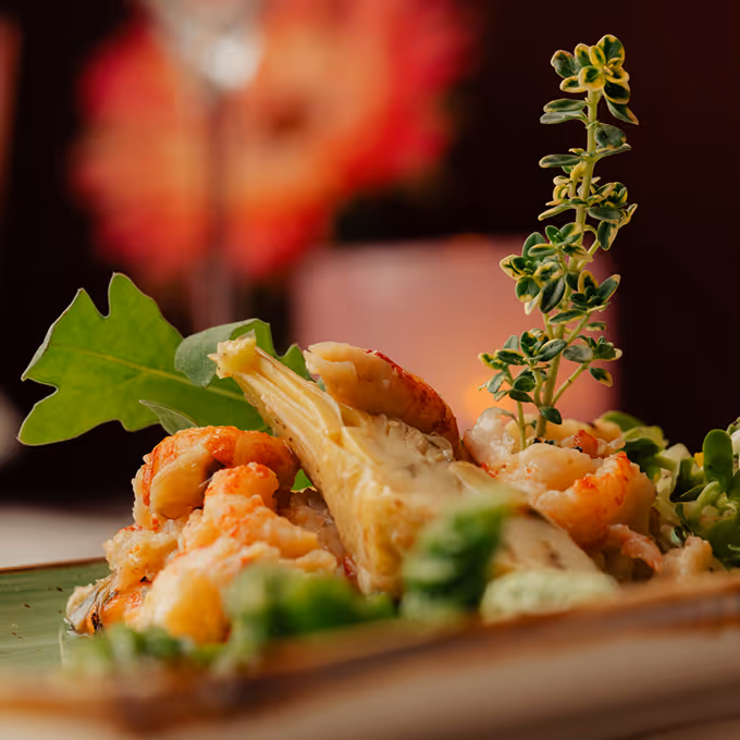 Close Up eines fein angerichteten Gerichts im La Petite Cave