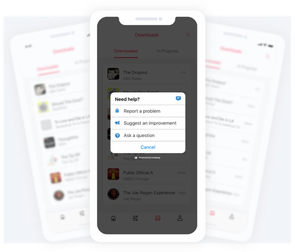 Bug Reporting Best Practices