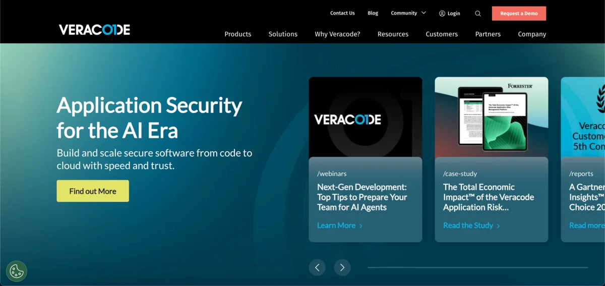 Veracode appsec tool