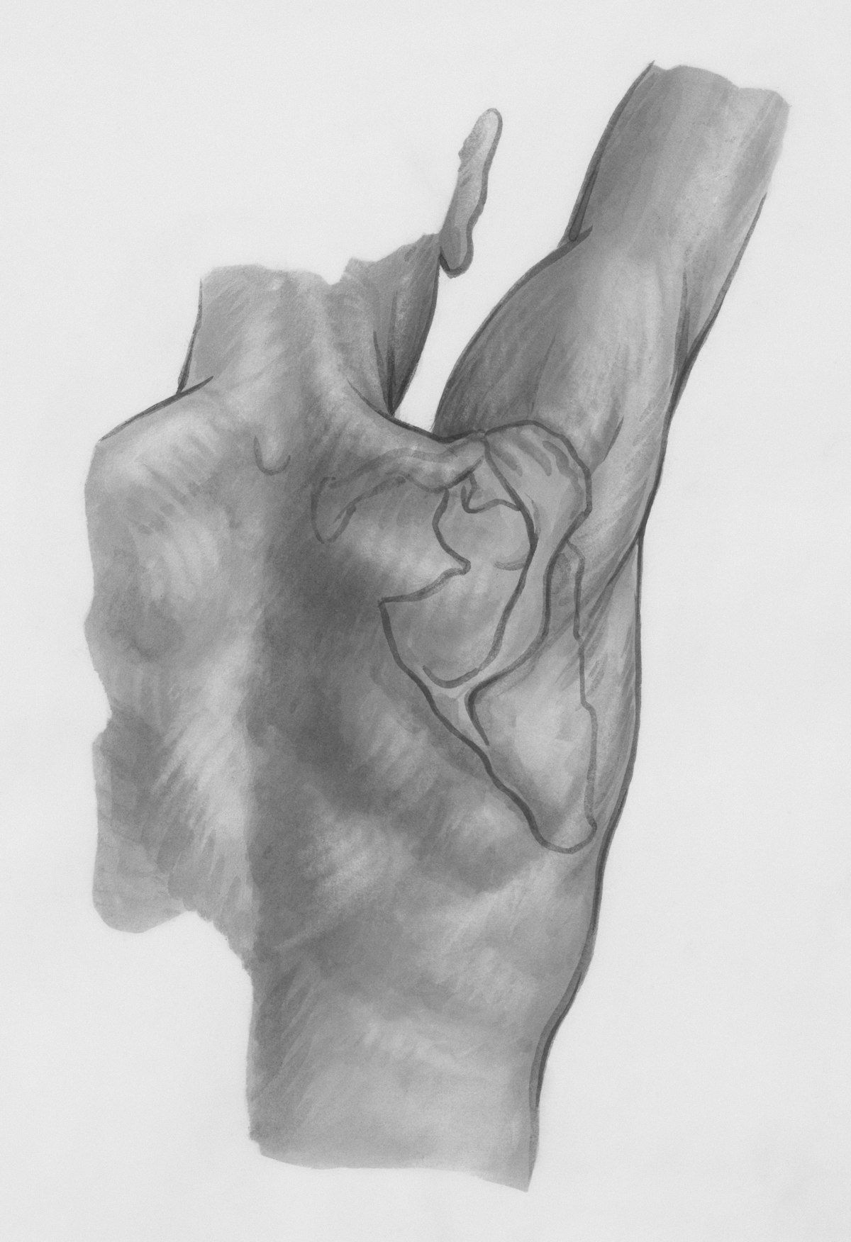 shoulder replacement — Post-Surgery Care