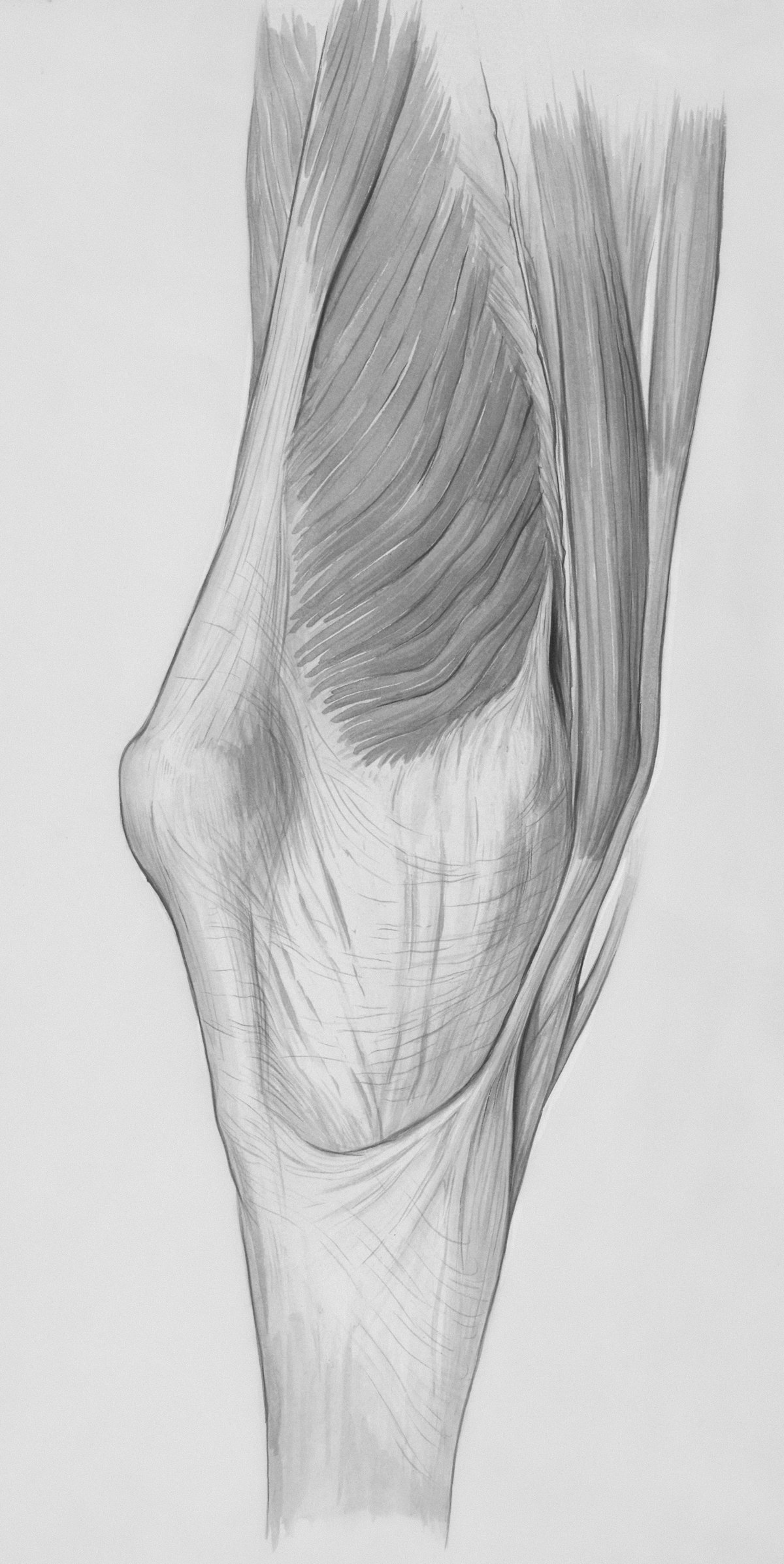 physiotherapy shoulder injury — When to Seek Professional Help