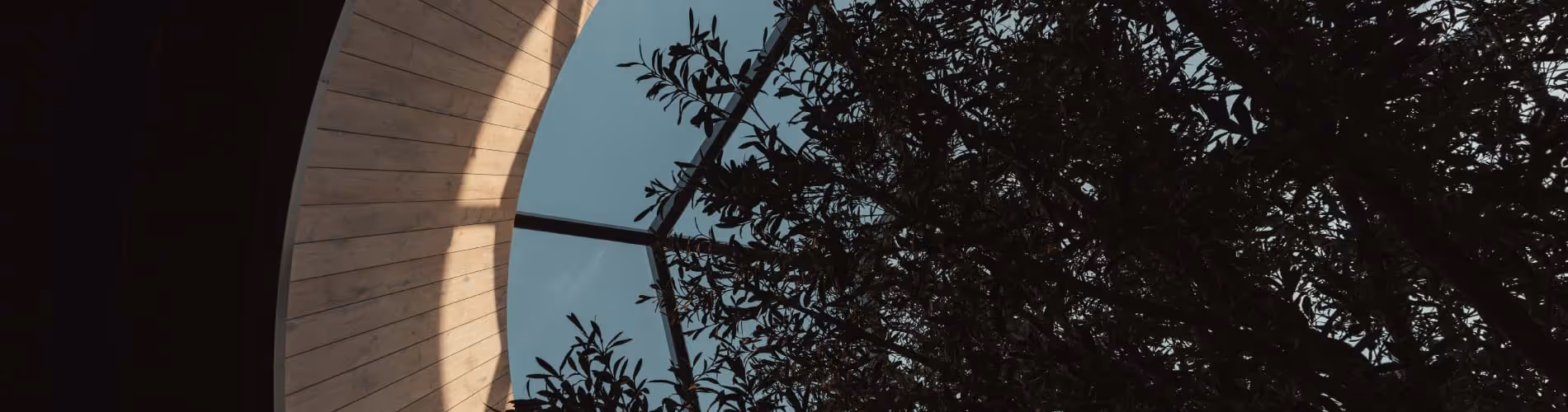 Partial view of an arched window with trees visible outside against a blue sky.