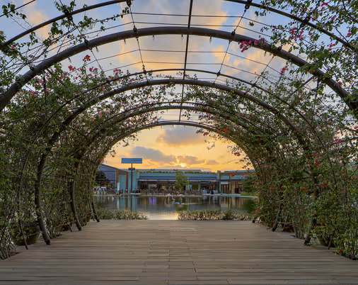 Scenic walkway under an arched trellis covered with green vines, leading toward a sunset view over a lake and modern buildings.