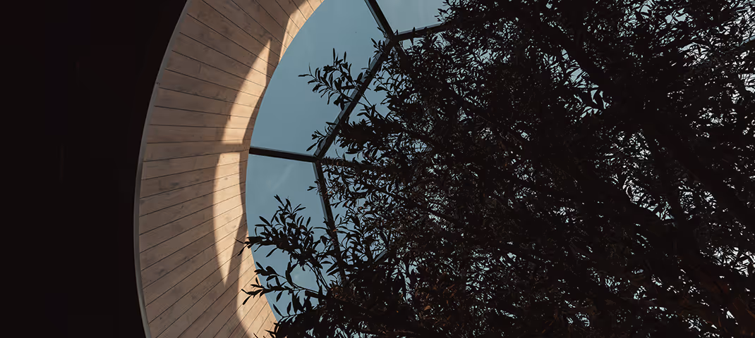 Interior view of a modern greenhouse with a curved wooden ceiling and large glass panels showcasing a clear blue sky.
