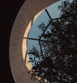 Interior view of a modern greenhouse with a curved wooden ceiling and large glass panels showcasing a clear blue sky.
