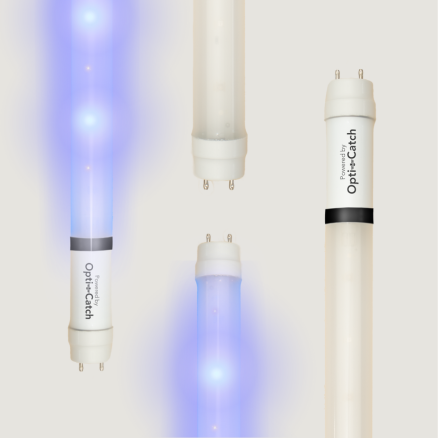 Opti-Catch retrofit LED lamps for fly traps. Beige background with alternating on and off lamps