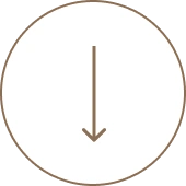 Menu Accordion Arrow