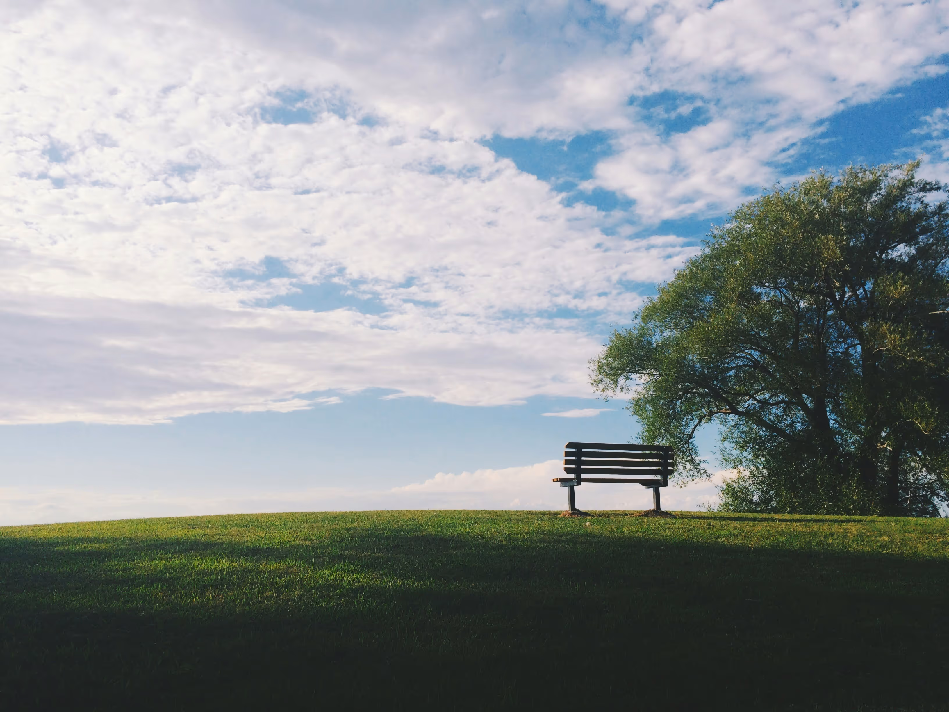 ciel bleu avec un arbre et un banc
