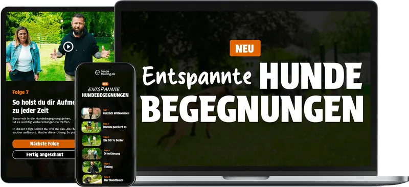 Neu: Entspannte Hundebegegnungen Onlinekurs