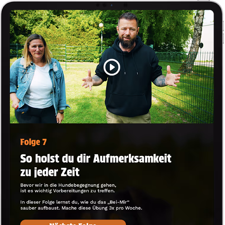 Neu: Entspannte Hundebegegnungen Onlinekurs