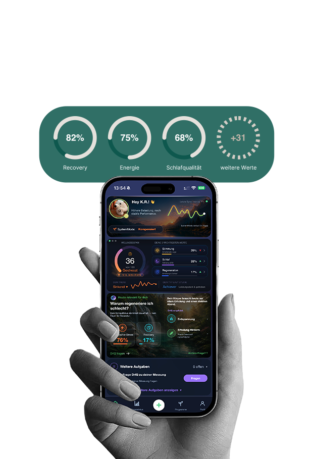 CASANELO; Health-App; MONI-APP