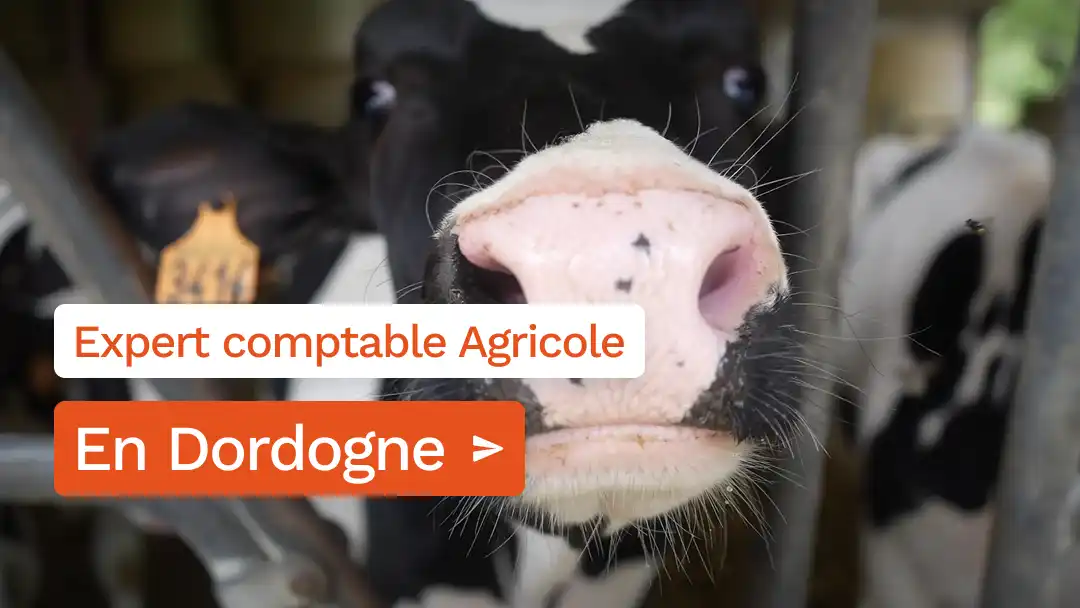 Expert-comptable agricole en Dordogne