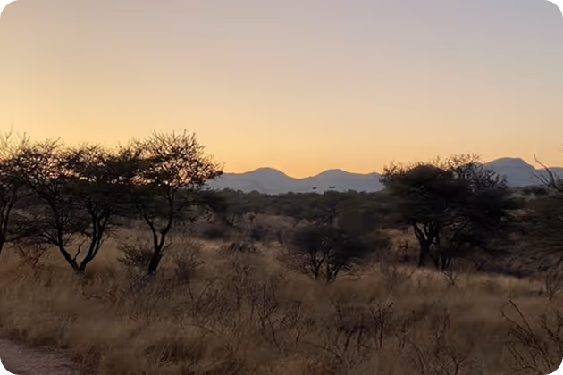 Savannah landscape with dry grass, scattered acacia trees, and distant mountains under a fading sunset sky.