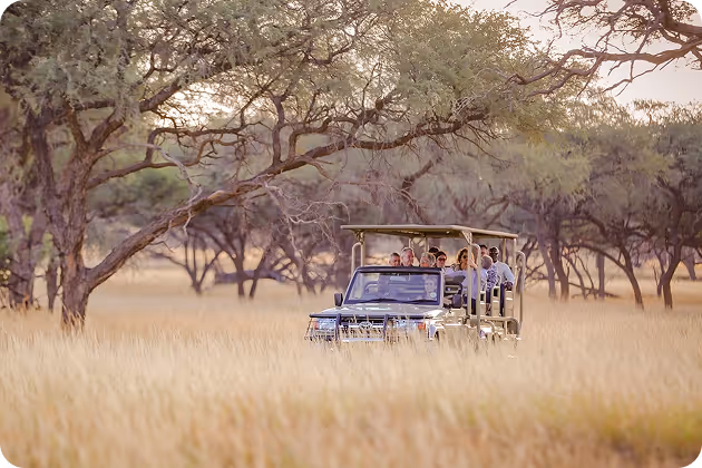Open safari vehicle with passengers driving through tall grass in a tree-dotted landscape.