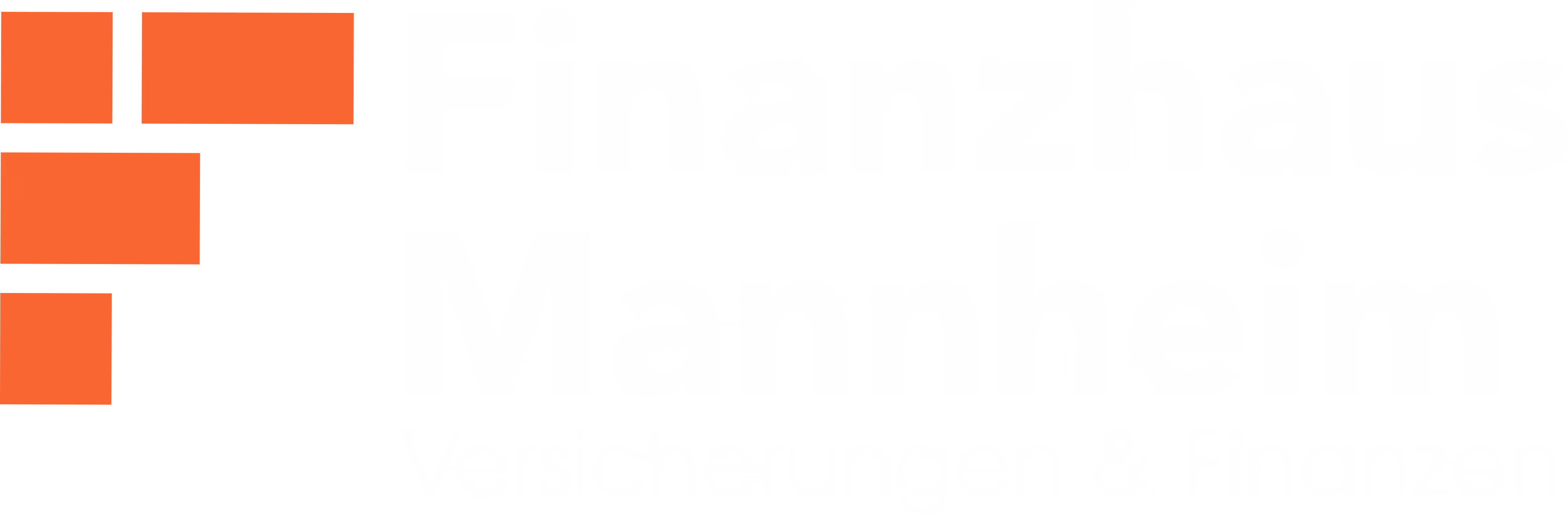 Finanzhaus Mannheim Logo