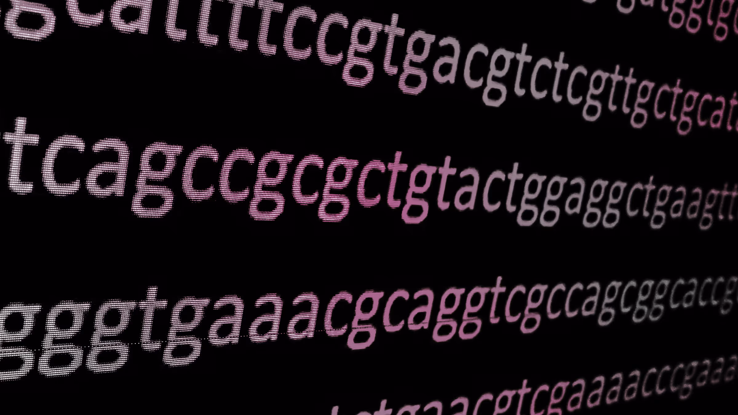 Close-up view of DNA sequence letters in pink and white on a black background.