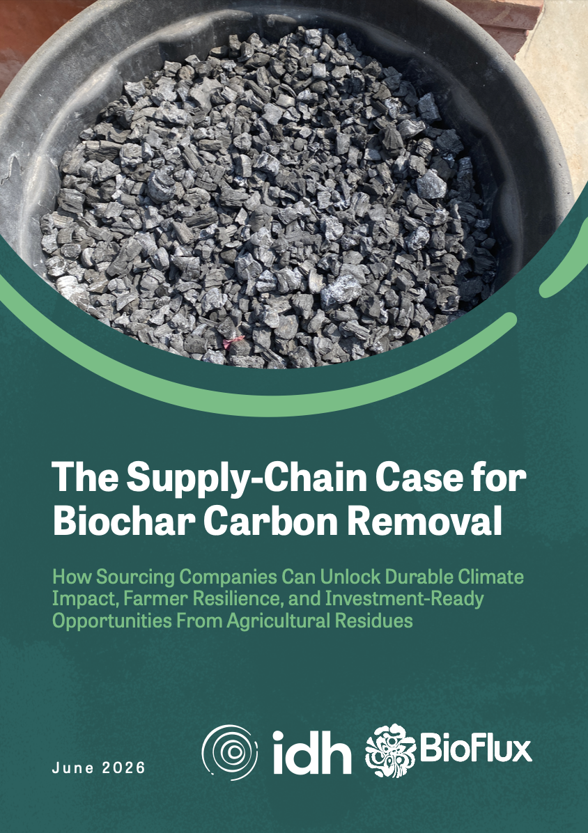 Poster white paper A Strategic Pillar for Corporate Climate Action