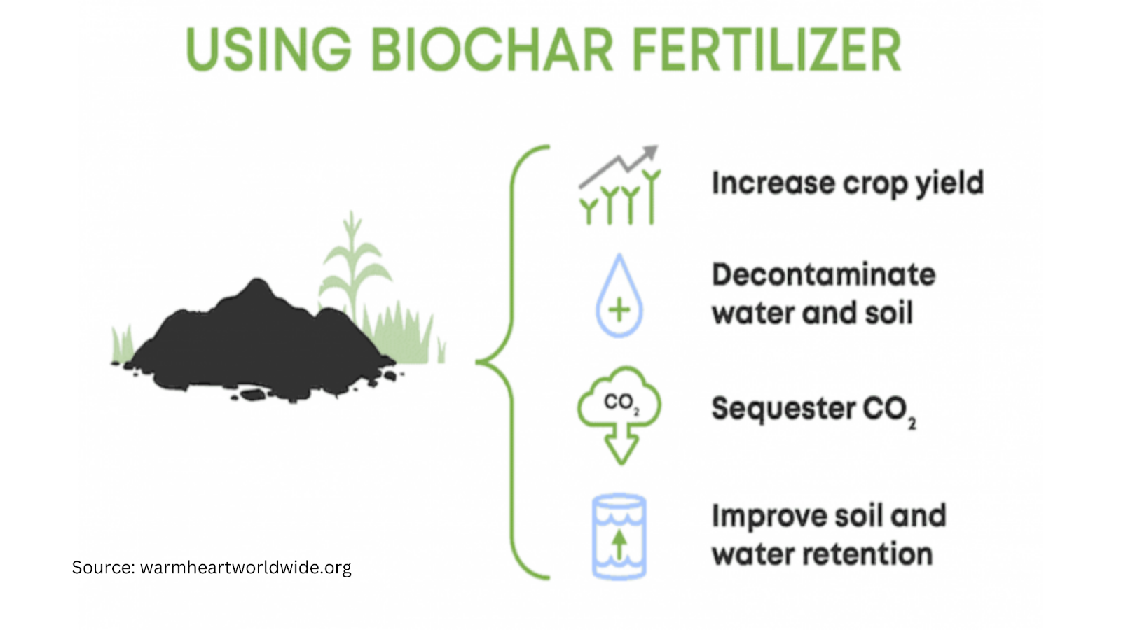 uses of biochar fertilizer