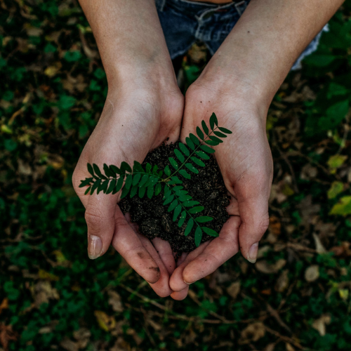 Hand with soil