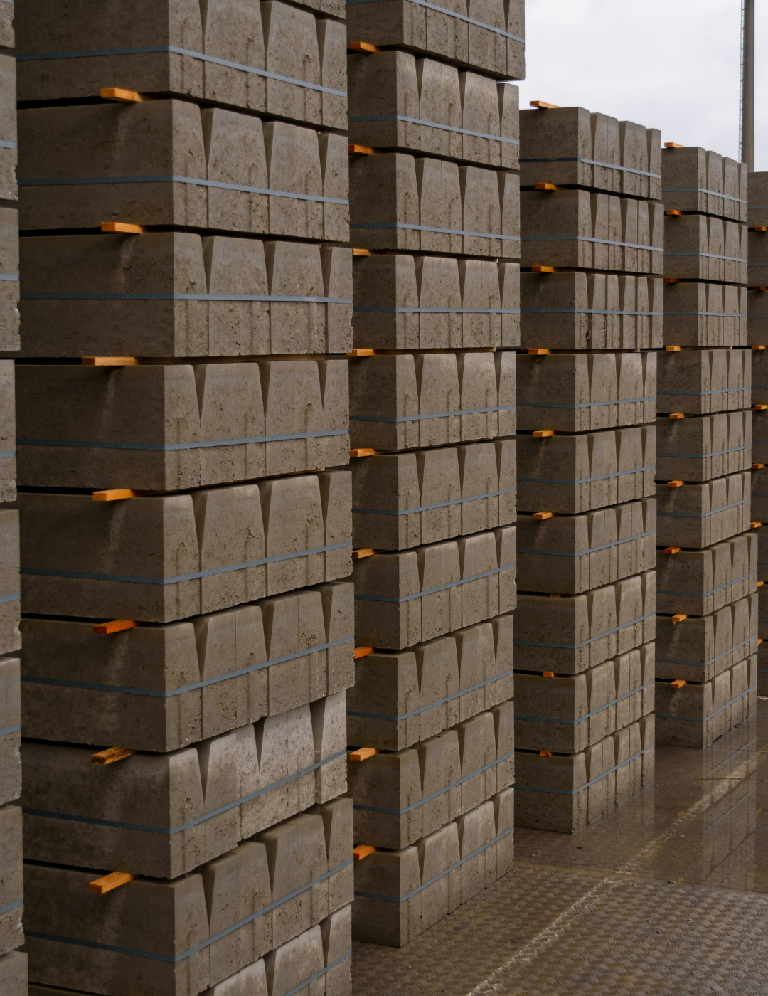 Nova Pangea Technologies