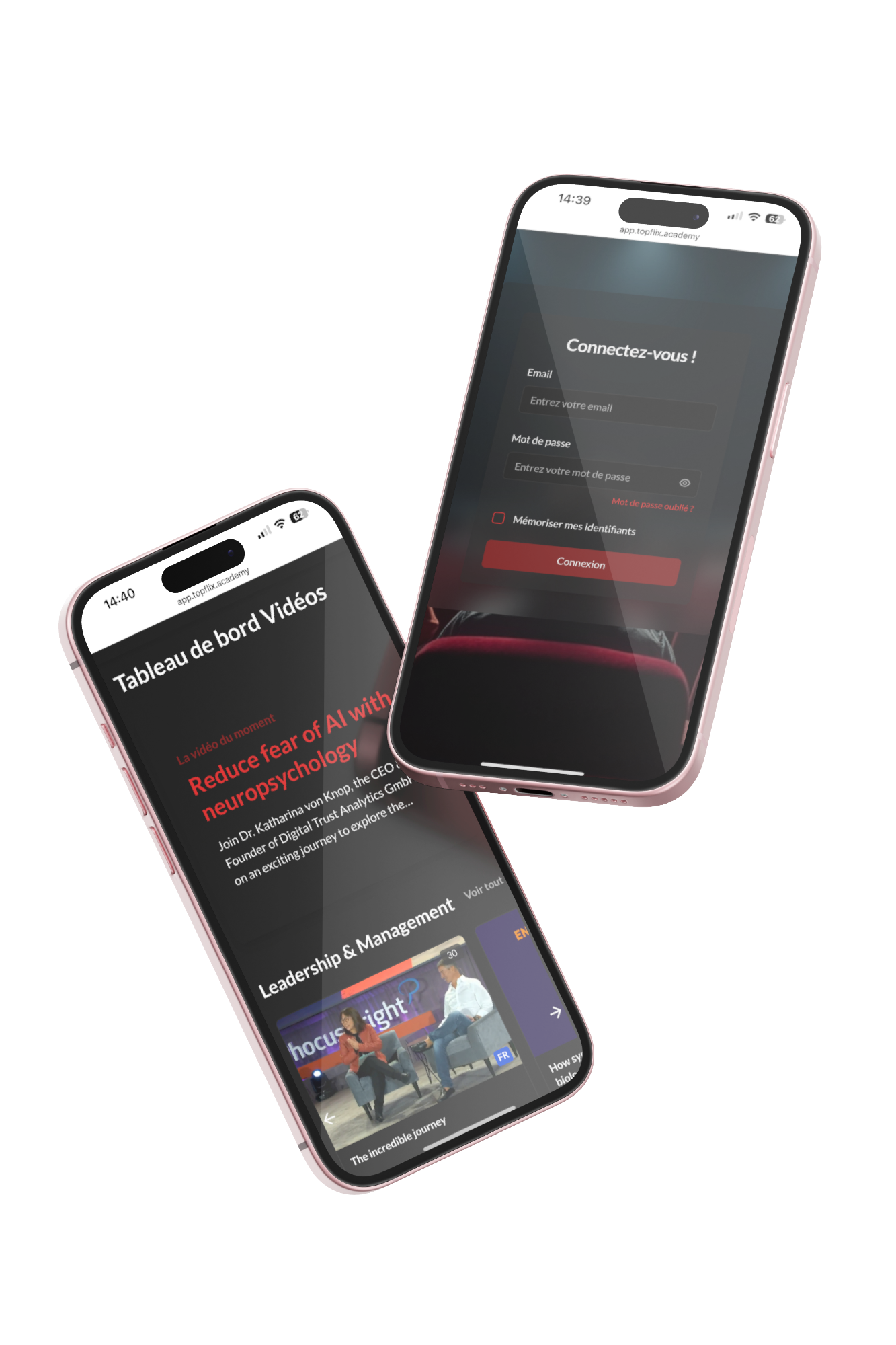 Mock up topflix