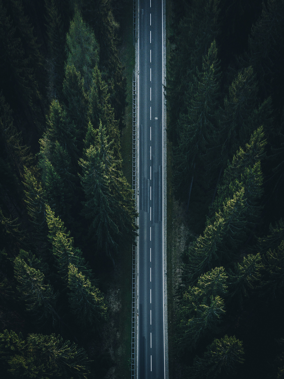 Aerial view of an empty two-lane road cutting through dense evergreen forest, representing an IT journey and how 848 Group can support along the way.
