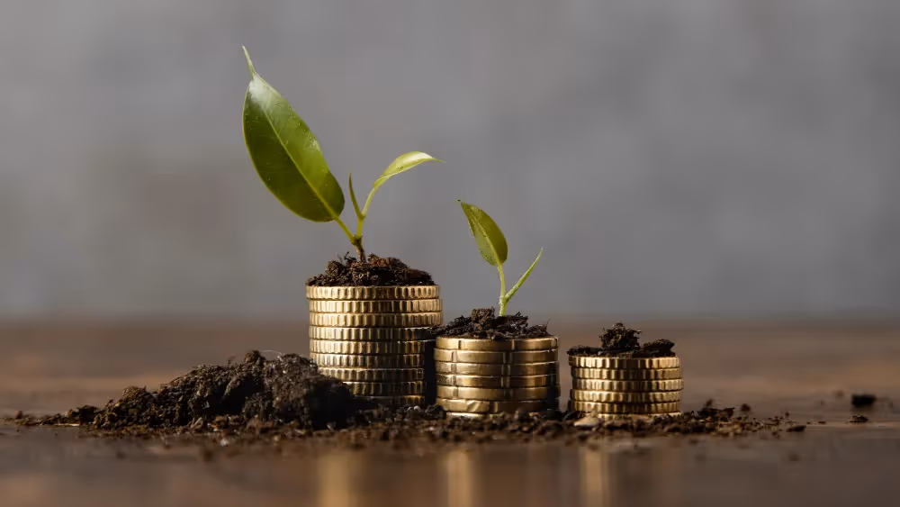 Vermögen Wachstum und finanzielle Ziele