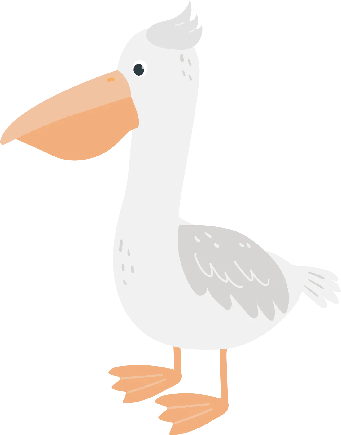 Pelican