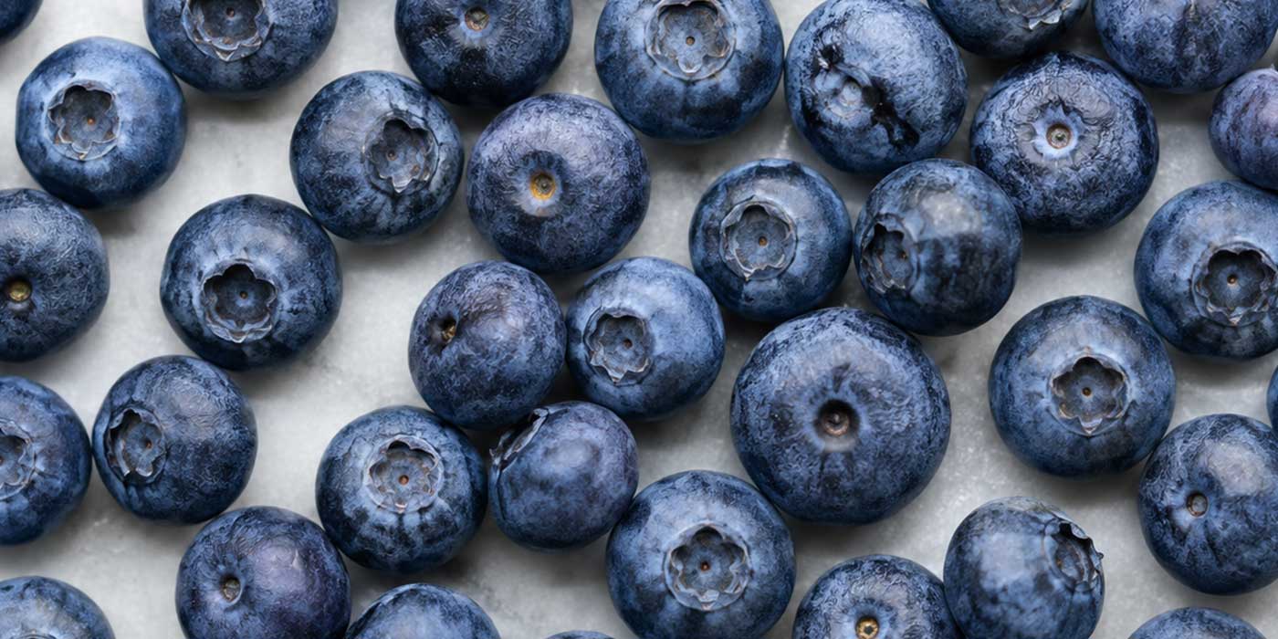 Fresh blueberries and cherries packed for export