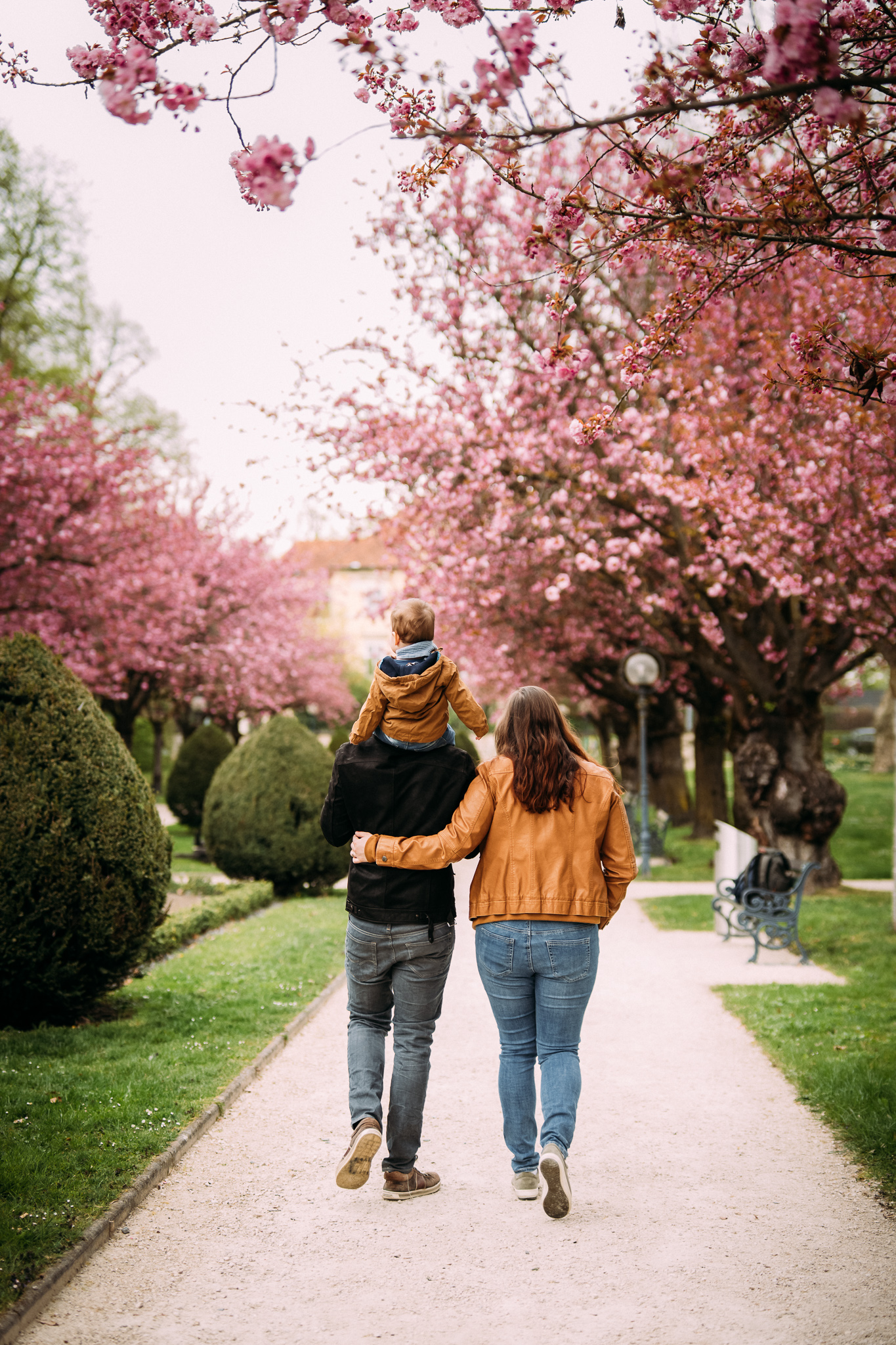 Blütenzauber mit Tavi