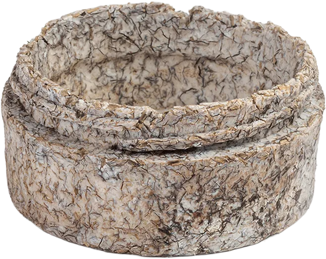 2 months old Biodegradable container