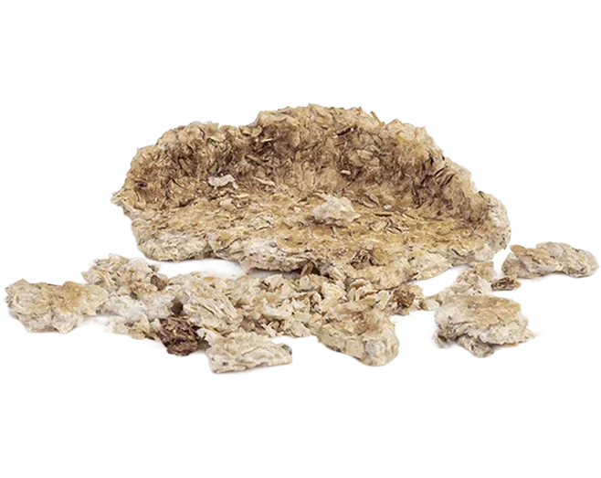 3 months Biodegradable container