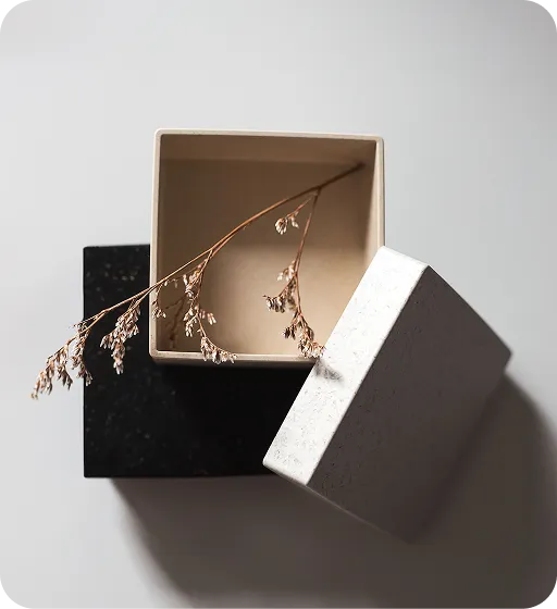 Minimalist eco-friendly square box with natural dried twig inside, showcasing sustainable packaging design in neutral tones.