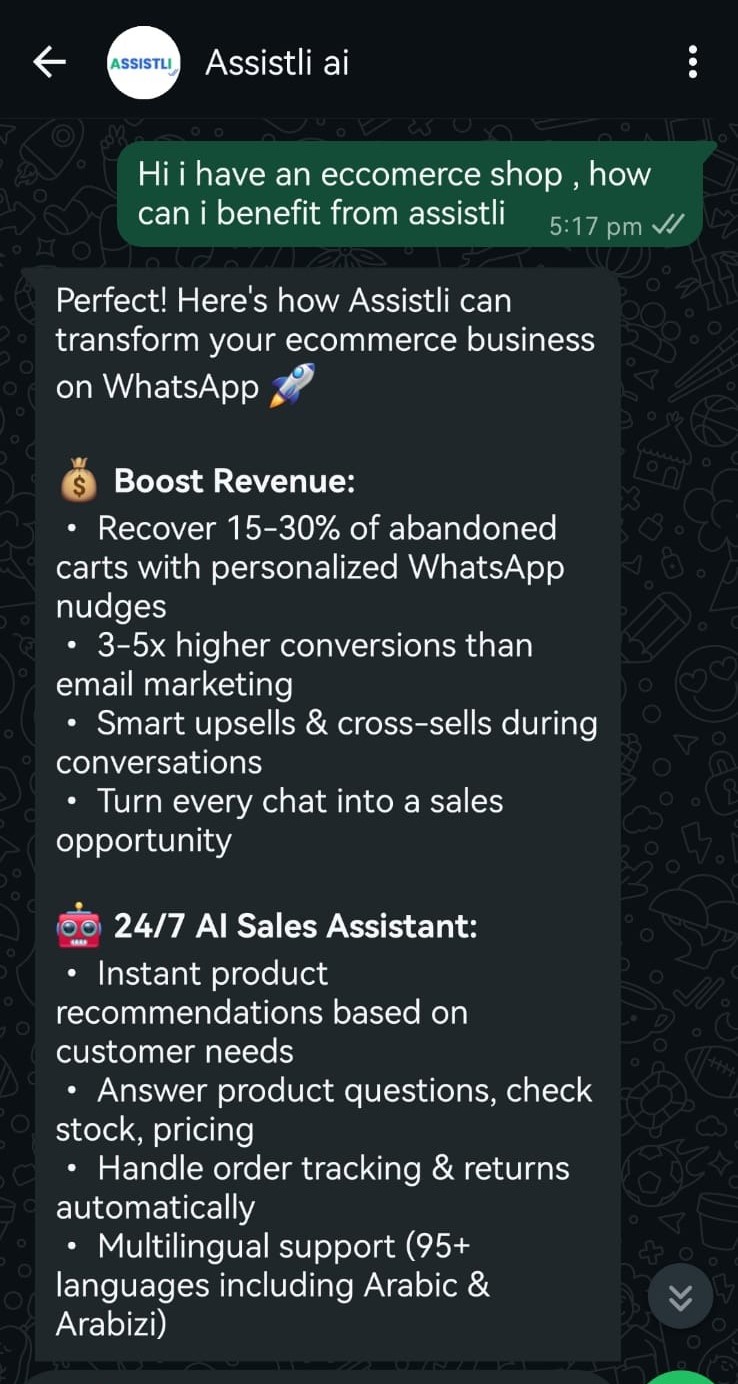 Assistli AI Chat Example