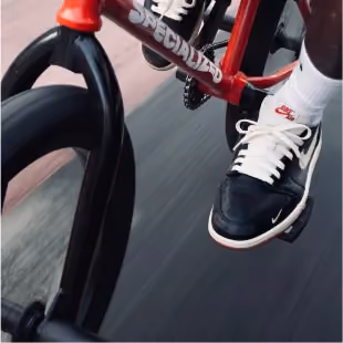 NIGEL SYLVESTER