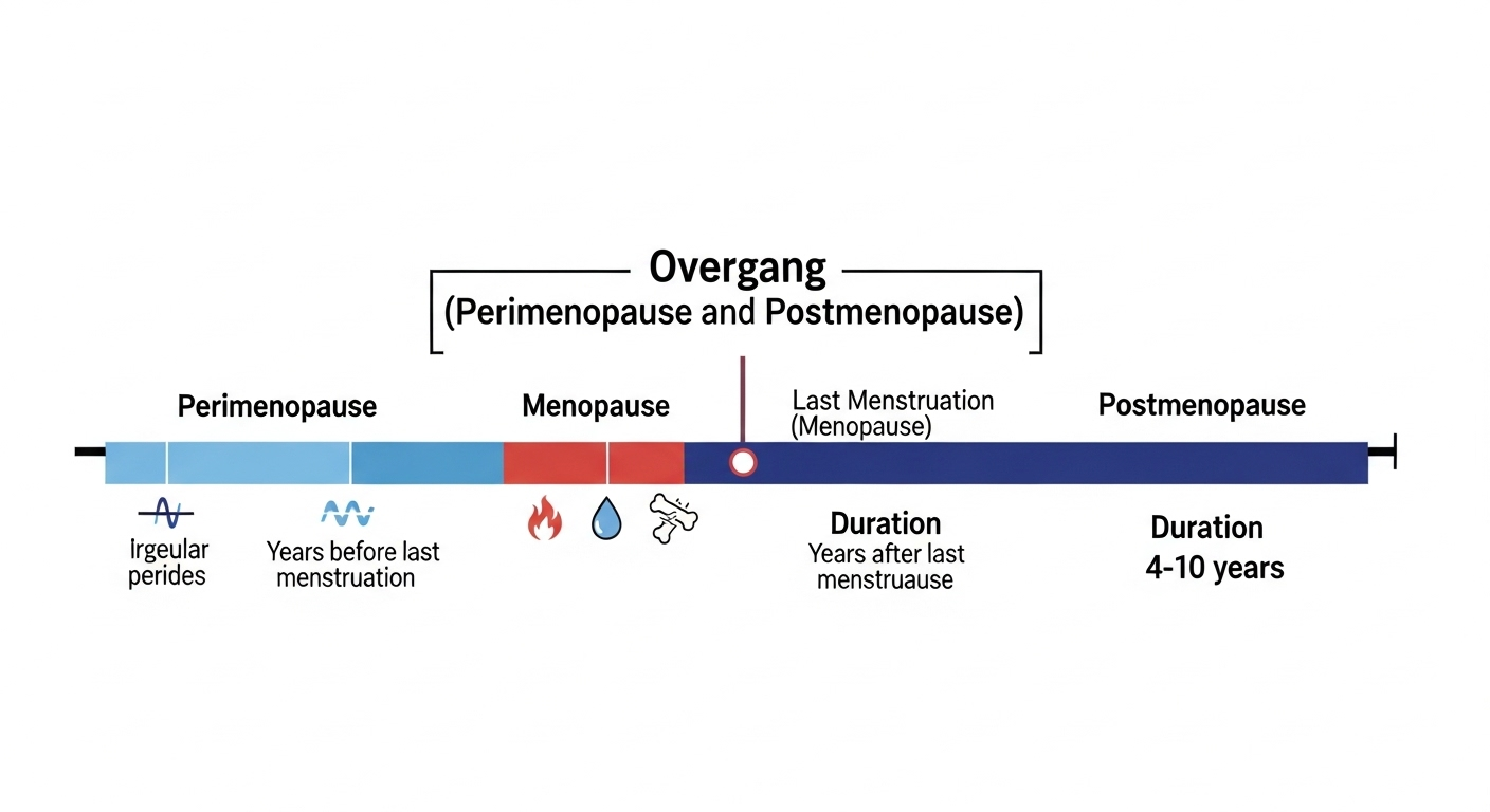 A timeline diagram illustrating the different stages of menopause, including perimenopause, menopause (last menstruation), and postmenopause, with visual representations of potential symptoms.