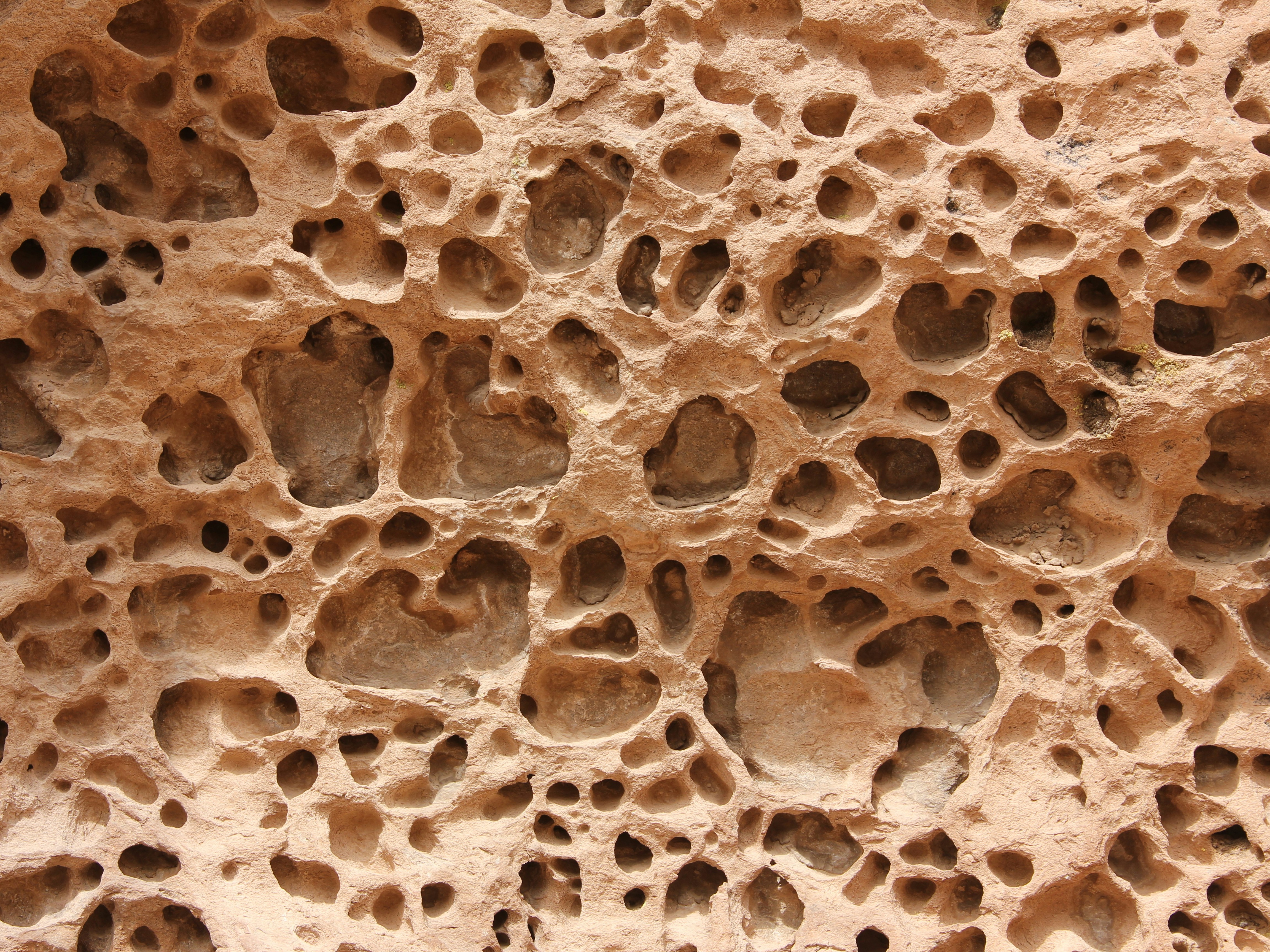 Why women don't feel heard during the transition