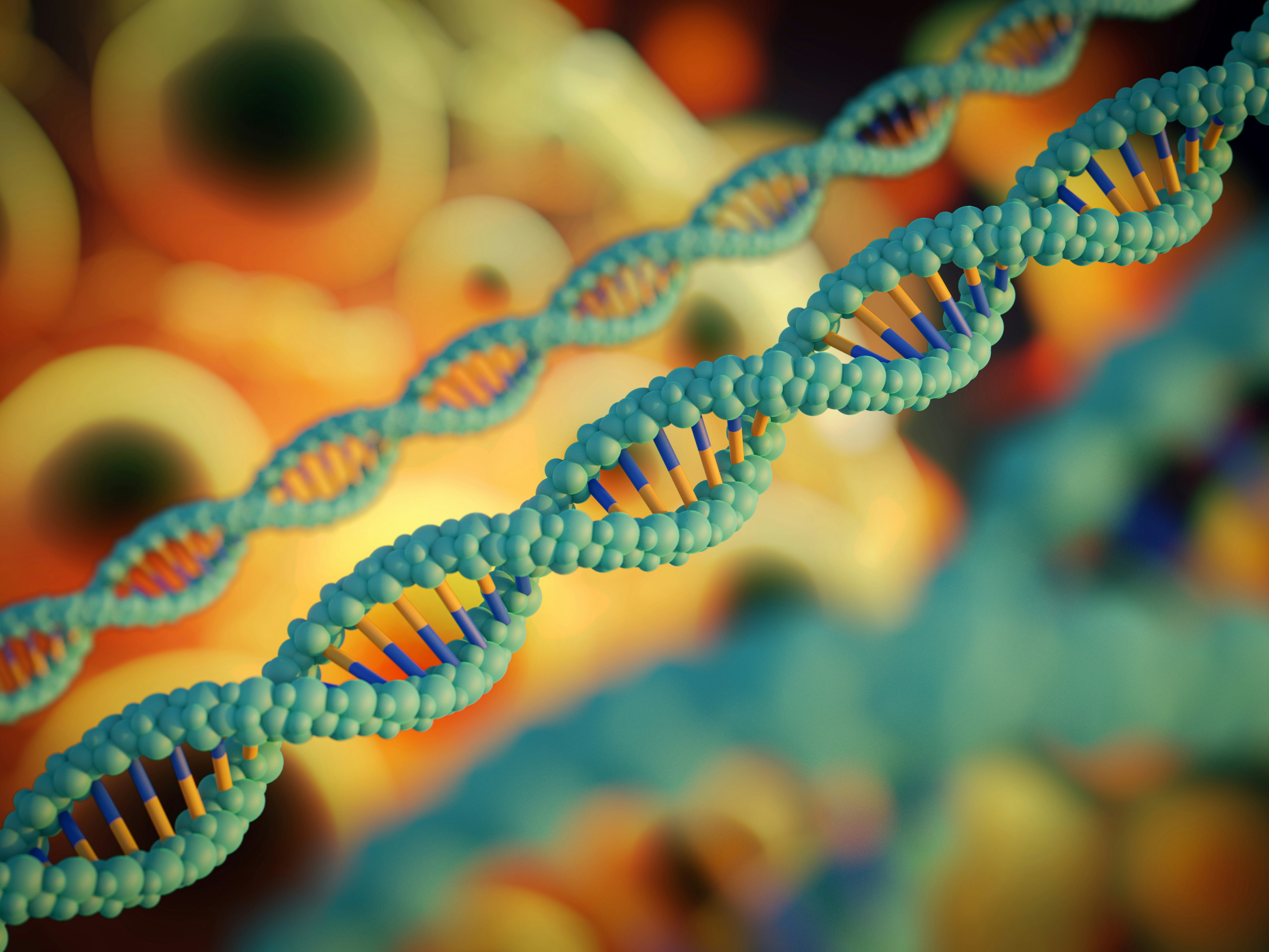 DNA en invloed op overgang